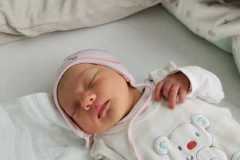 Amelie Gerling-Pontasch