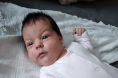 JuliaCeleste_03122020
