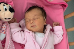 Mia Sophie Sejfic