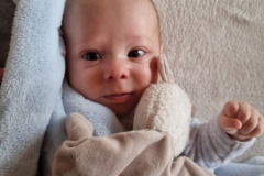Elias Gabriel Maierbrugger