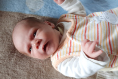 Noah Reinwald
